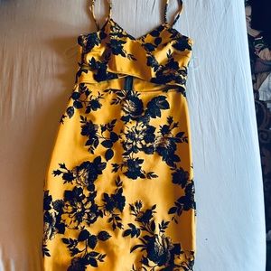 Fashion Nova bodycon dress